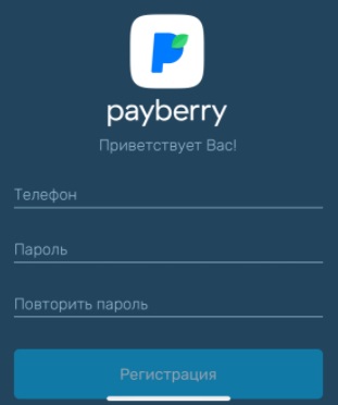 Payberry steam промокод. PAYBERRY. Картинка PAYBERRY. PAYBERRY промокод.