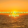 Закон о тишине в Орловской области и Орле